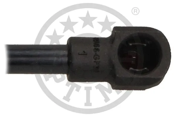 Gas Spring, boot/cargo area