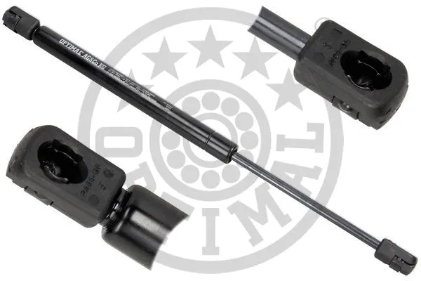 Gas Spring, boot/cargo area (AG-40443)