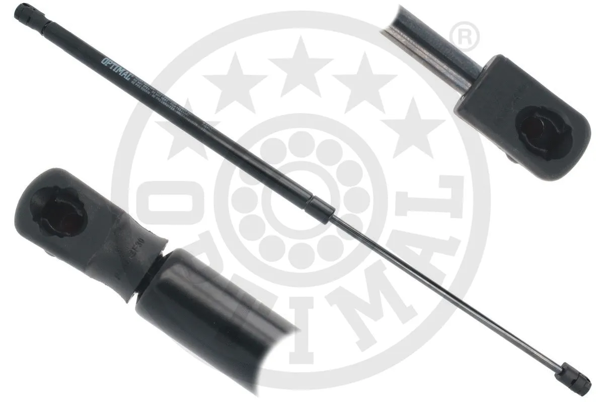 Gas Spring, boot/cargo area (AG-51741)