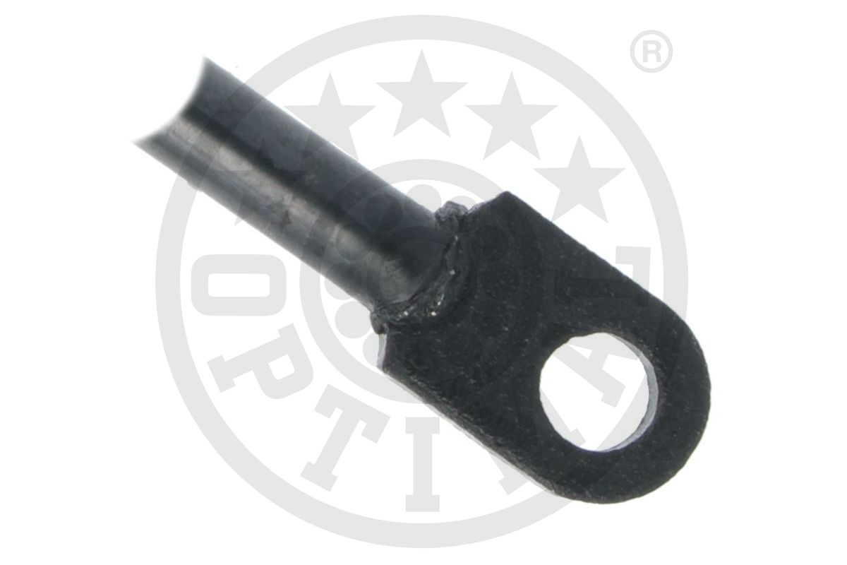 Gas Spring, boot/cargo area