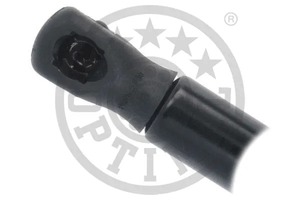 Gas Spring, boot/cargo area