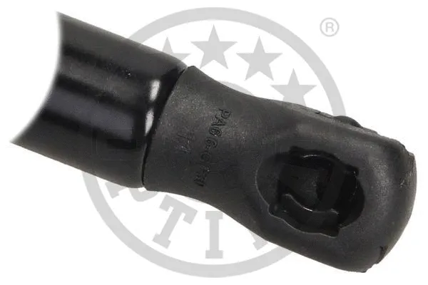 Gas Spring, boot/cargo area