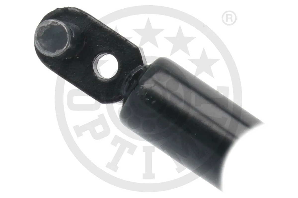 Gas Spring, boot/cargo area