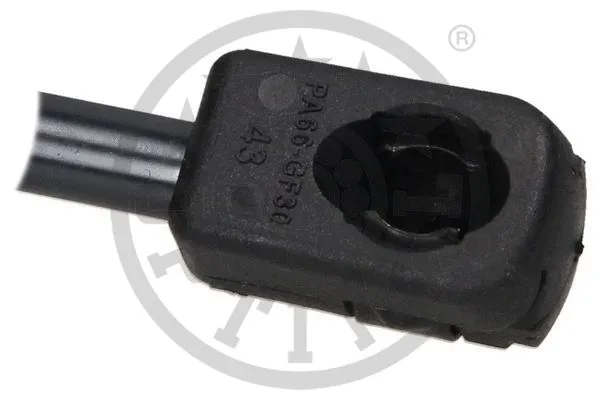 Gas Spring, boot/cargo area