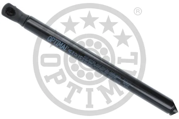 Gas Spring, boot/cargo area