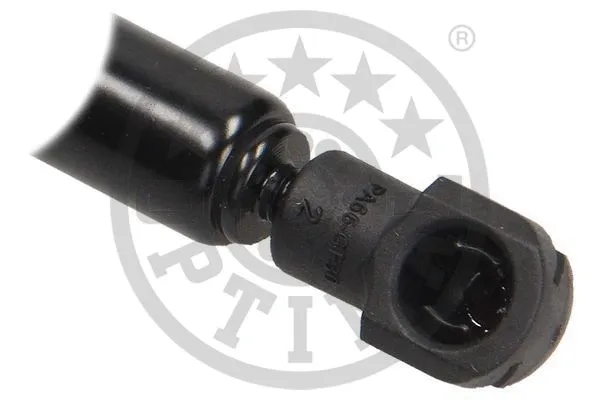 Gas Spring, boot/cargo area