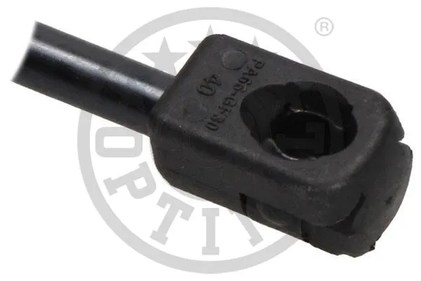 Gas Spring, boot/cargo area