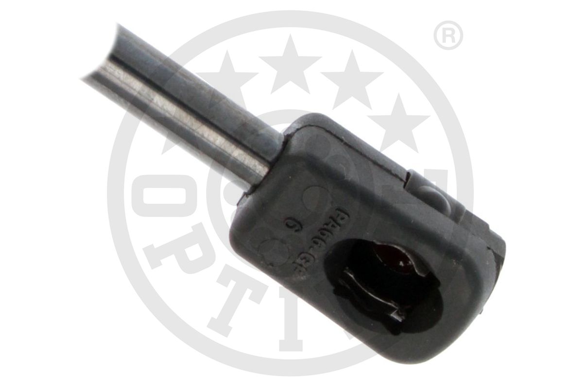 Gas Spring, boot/cargo area