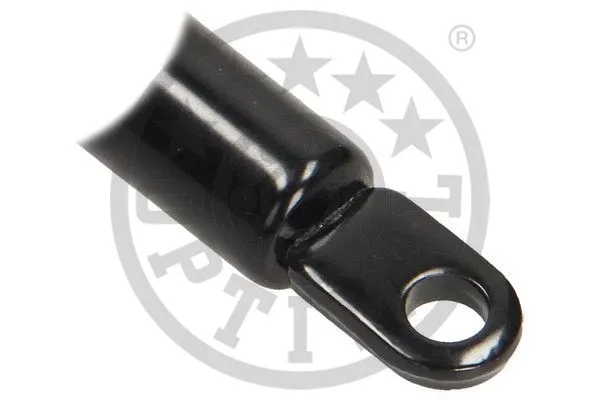 Gas Spring, boot/cargo area