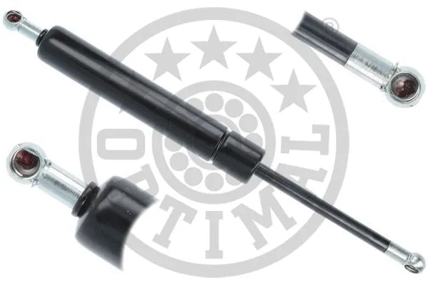 Gas Spring, boot/cargo area (AG-51838)