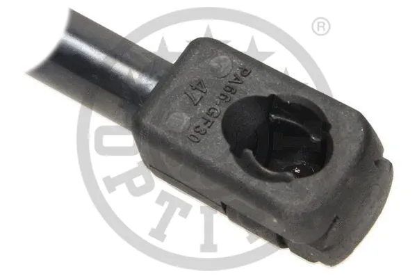 Gas Spring, boot/cargo area