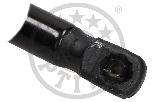 Gas Spring, boot/cargo area