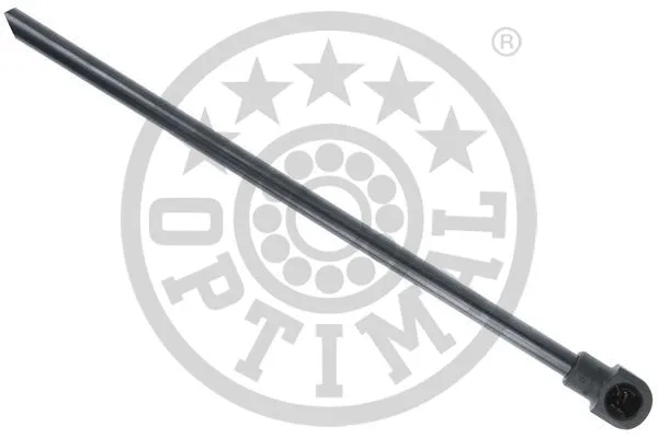 Gas Spring, boot/cargo area