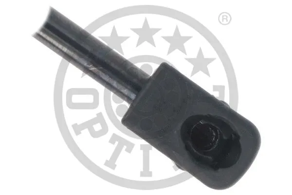 Gas Spring, boot/cargo area