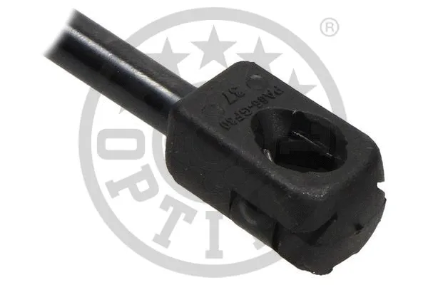 Gas Spring, boot/cargo area