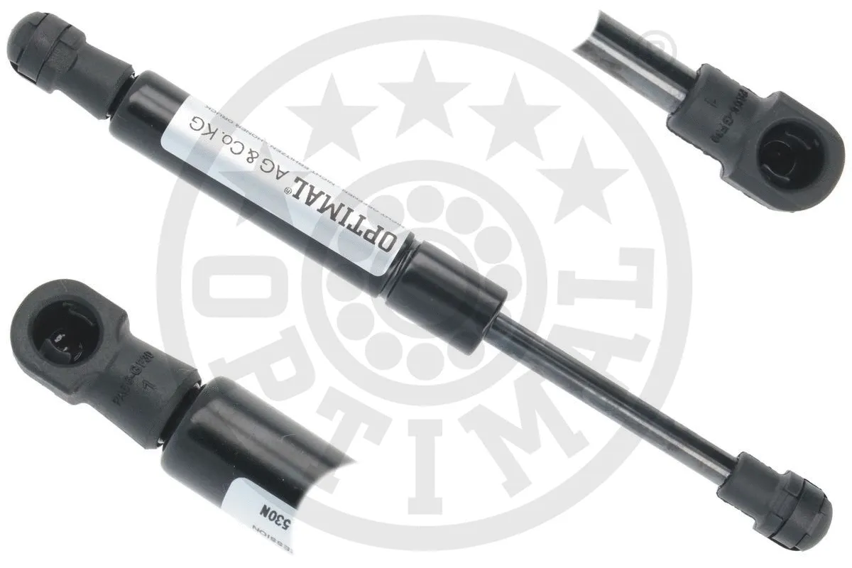 Gas Spring, boot/cargo area (AG-51265)