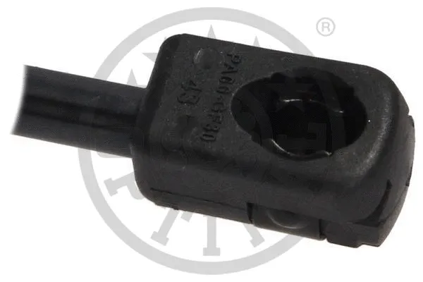 Gas Spring, boot/cargo area