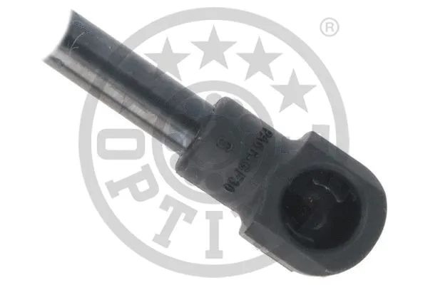 Gas Spring, boot/cargo area