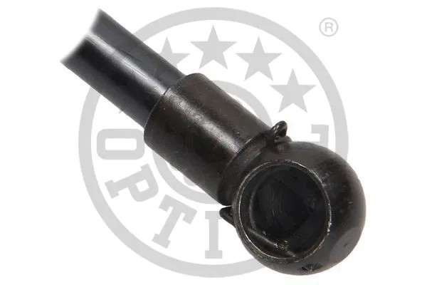 Gas Spring, boot/cargo area