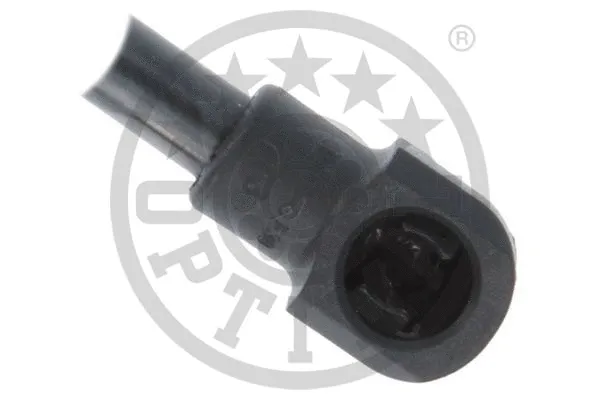 Gas Spring, boot/cargo area