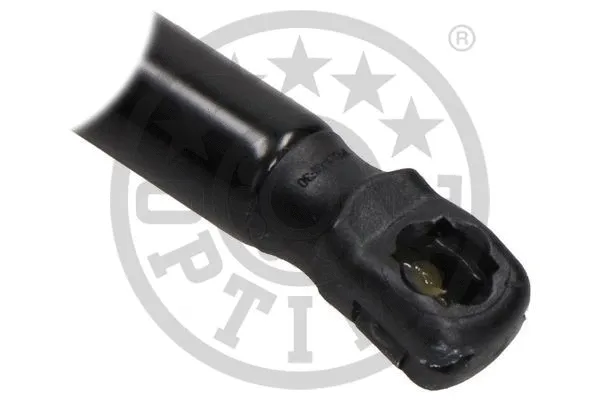 Gas Spring, boot/cargo area