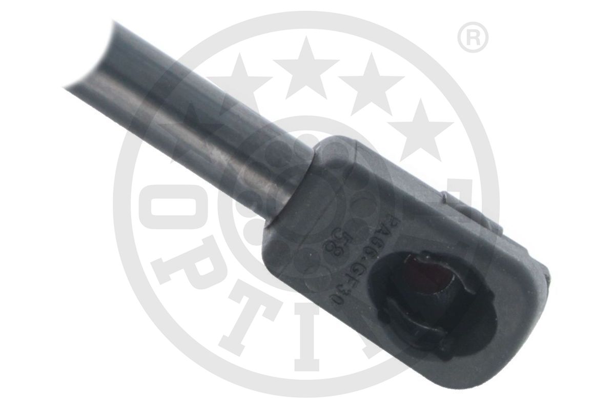 Gas Spring, boot/cargo area