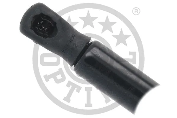 Gas Spring, boot/cargo area