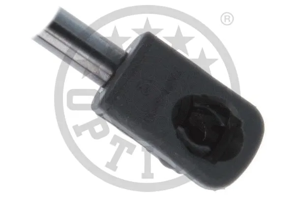 Gas Spring, boot/cargo area