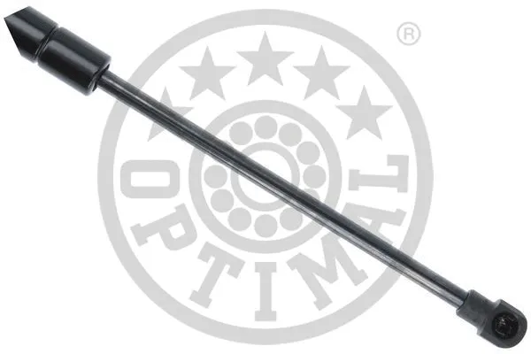 Gas Spring, boot/cargo area