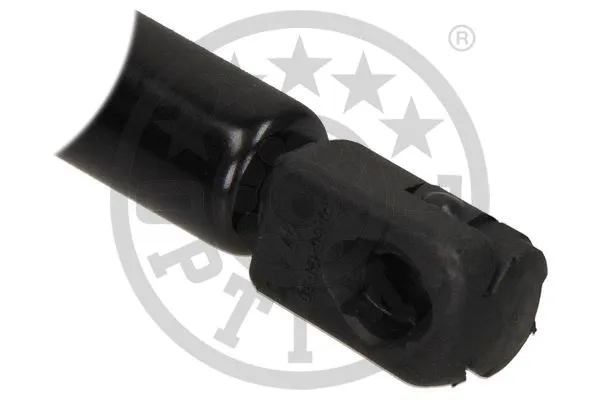 Gas Spring, boot/cargo area