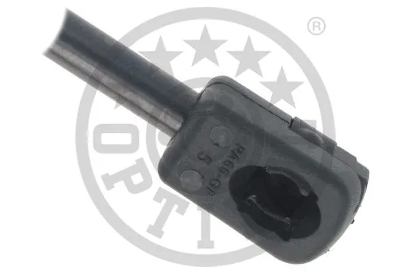 Gas Spring, boot/cargo area