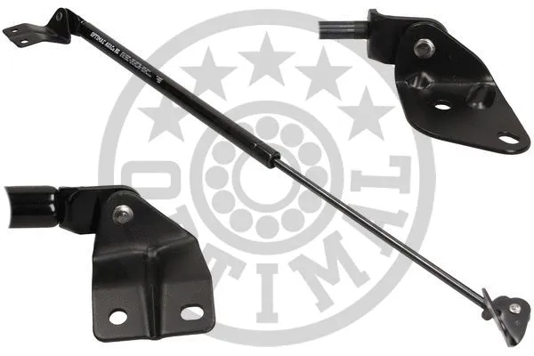 Gas Spring, boot/cargo area (AG-40695)