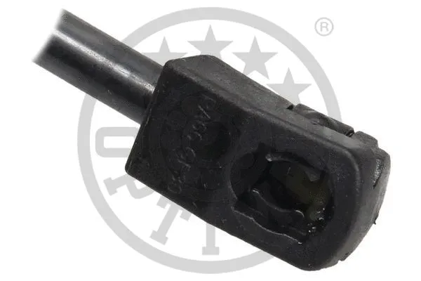 Gas Spring, boot/cargo area
