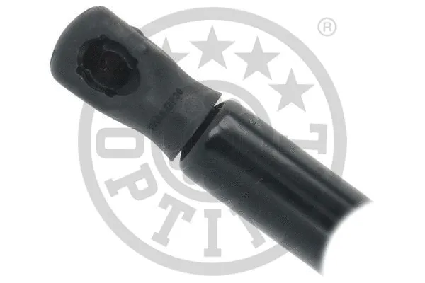 Gas Spring, boot/cargo area