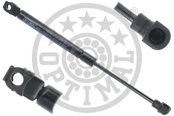 Gas Spring, boot/cargo area (AG-51557)