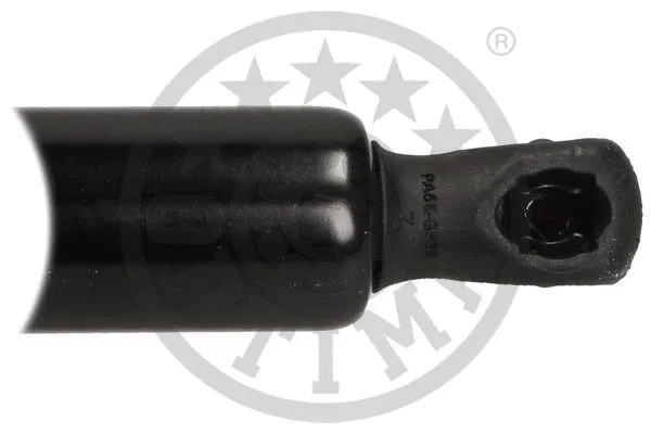 Gas Spring, boot/cargo area