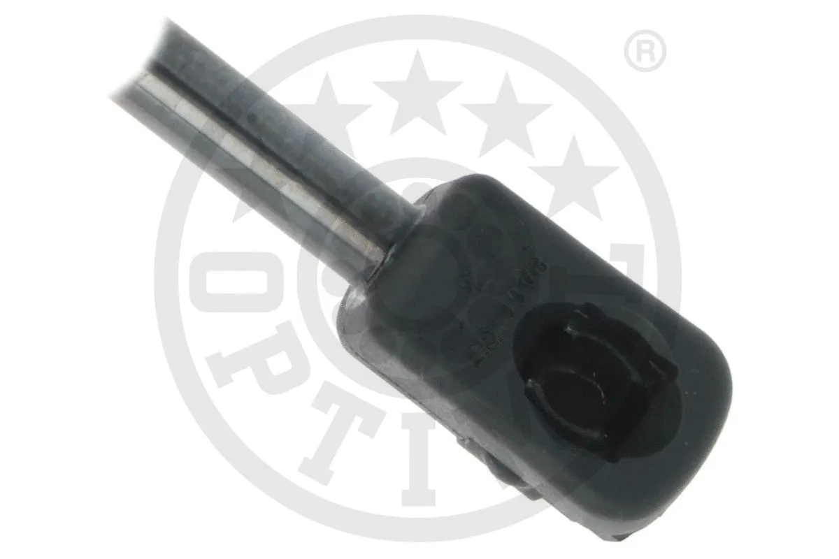 Gas Spring, boot/cargo area