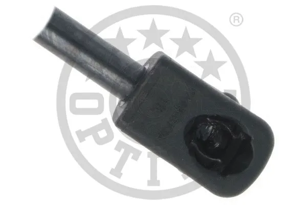 Gas Spring, boot/cargo area