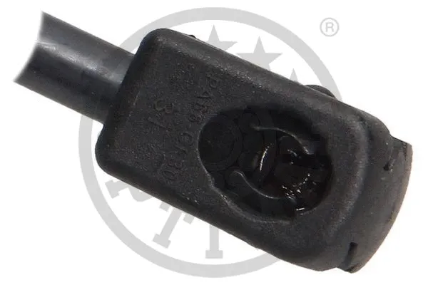 Gas Spring, boot/cargo area