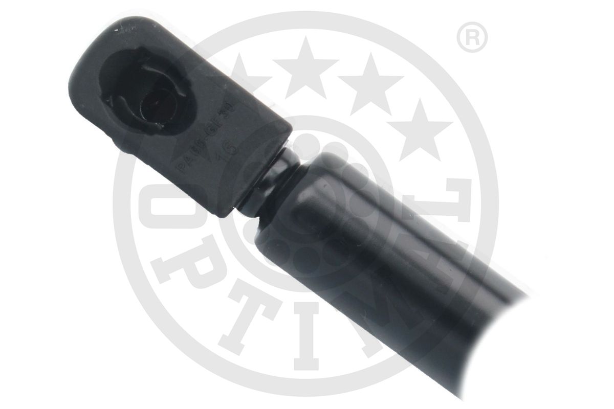 Gas Spring, boot/cargo area