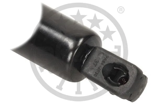 Gas Spring, boot/cargo area