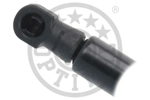 Gas Spring, boot/cargo area