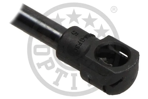 Gas Spring, boot/cargo area