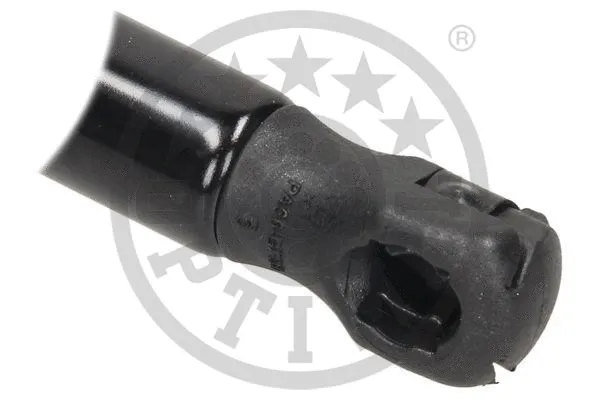 Gas Spring, boot/cargo area