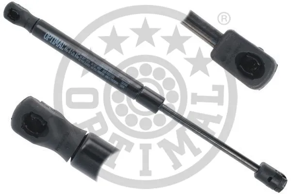 Gas Spring, bonnet (AG-51979)