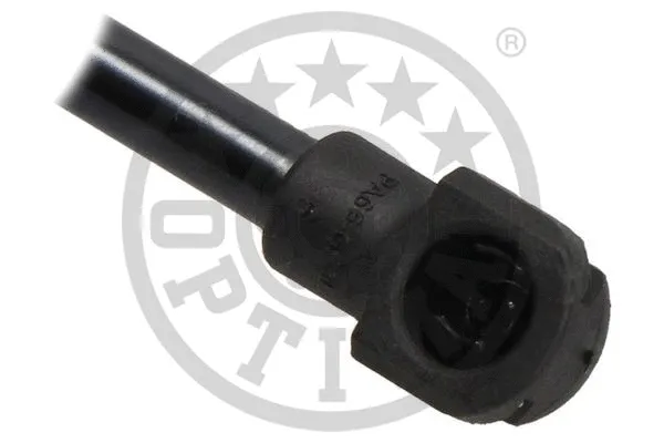 Gas Spring, boot/cargo area