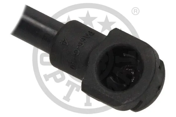 Gas Spring, boot/cargo area