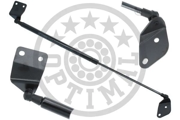 Gas Spring, boot/cargo area (AG-52218)