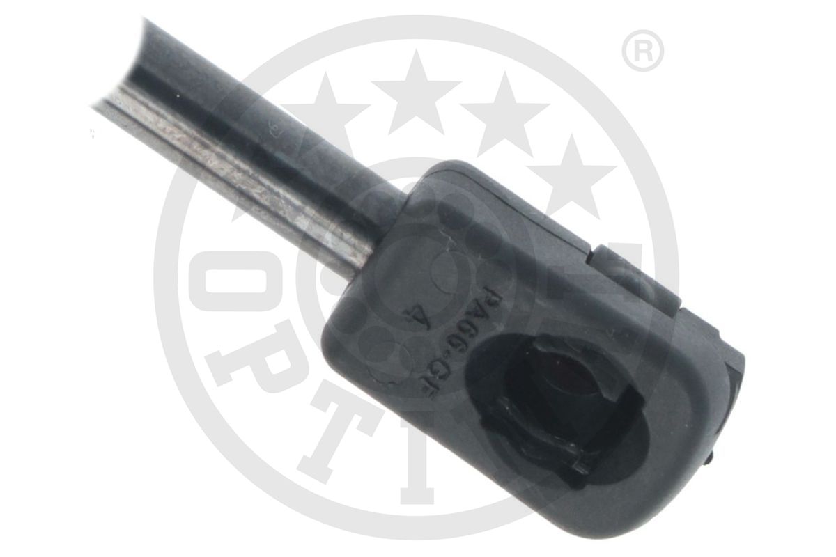 Gas Spring, boot/cargo area