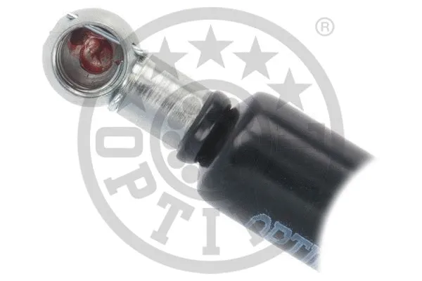 Gas Spring, boot/cargo area